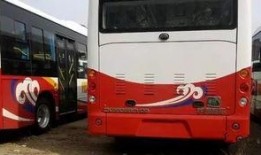 葫芦岛公交车爆料新闻最新,乘客拾金不昧传递正能量