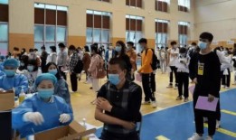 五石炫彩最新爆料消息,揭秘神秘彩宝背后的传奇故事