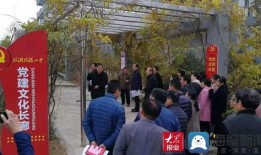 临沂一中爆料事件最新,揭秘校园风波背后的真相