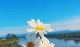 早安最新爆料视频大全,最新视频大全揭秘热点事件